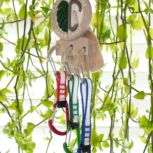 Könnte beinhalten: Ein weißes und graues Schild mit dem Text "Climbing Vine Gear Shop" und einem grünen Blattdesign hängt an einem Haken. Drei bunte Karabiner mit befestigten Schlaufen sind unter dem Schild angebracht.