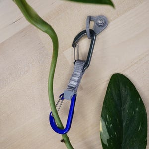 Könnte beinhalten: Ein blauer und grauer Karabiner mit einem grauen Band, das an einer Pflanze befestigt ist. Der Karabiner hängt an einem grauen Haken an einer Holzoberfläche.