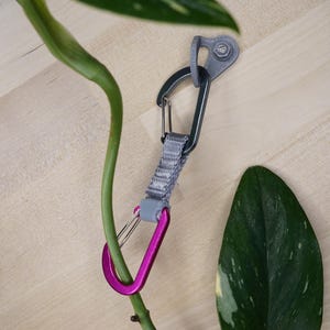 Könnte beinhalten: Ein grauer und rosa Karabiner mit einem grauen Band, das an einer Pflanze befestigt ist. Der Karabiner ist an einem grauen Haken an einer Holzoberfläche befestigt.