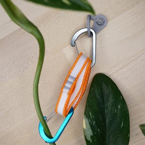 Könnte beinhalten: Ein blauer Karabiner mit einem orange-weißen Band, das an einem grauen Metallhaken befestigt ist. Der Haken ist an einer Holzoberfläche befestigt. Im Hintergrund befindet sich eine grüne Pflanze mit panaschierten Blättern.