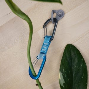 Könnte beinhalten: Ein blauer und grauer Karabiner mit einem blauen Band ist an einem grauen Haken befestigt. Der Karabiner ist um einen grünen Pflanzenstängel gewickelt.