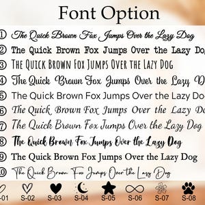 May include: A graphic showing 10 different font options for the phrase "The Quick Brown Fox Jumps Over the Lazy Dog".  The fonts are numbered 1 through 10.  Below the fonts are 8 different icons, labeled S-01 through S-08.