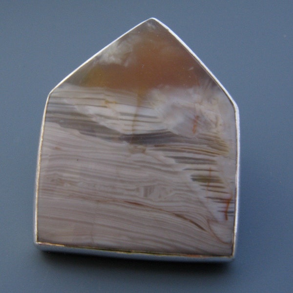 house pin - petrified wood - silver