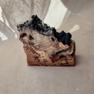 Spalted Ash Wood Vase Stand: Rustic Organic Decor (8.5cm)