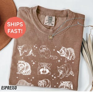 Raccoons 90s Vintage Style Tshirt, Retro Comfort Colors® Raccoon Shirt, Animal Lover Gift, Funny Raccoon Tee, Nature Unisex Adult T-Shirt