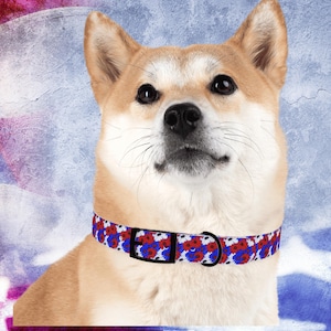 Patriotic Daisy Dog Collar | Red White & Blue Dog Collar | 4th of July Pet Collar | Floral USA Collar for Dogs | Summer Dog Accessories