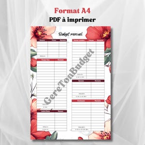 Peut inclure: Planificateur de budget imprimable avec un design floral. Le planificateur comprend des sections pour les revenus, les dépenses, les économies et les enveloppes. Le texte "Budget mensuel" est en haut de la page.