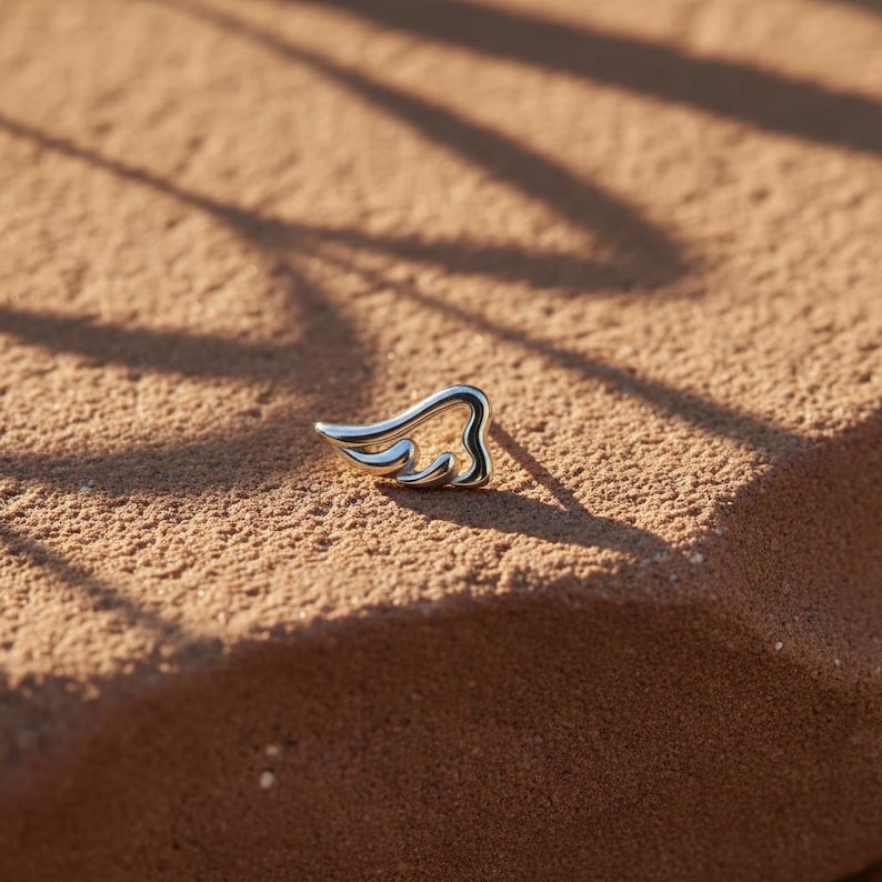 May include: A small, silver-colored wing-shaped jewelry piece. The wing is resting on a textured, reddish-brown surface. The jewelry has a polished, reflective surface, and the design is detailed with curved lines.
