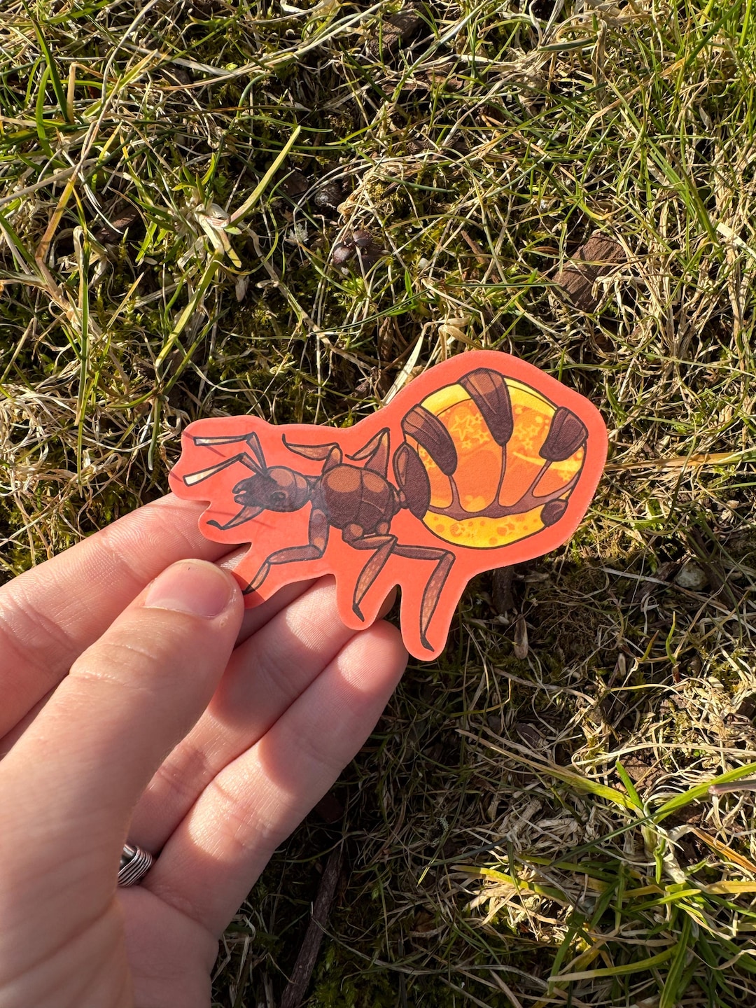 Honeypot Ant Waterproof Vinyl Sticker, Insect + Bug Art, 2.25 in X 2.5 ...