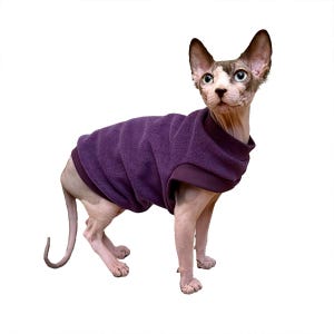 Op de afbeelding: Een haarloze kat draagt een paarse fleece trui. De kat staat op een witte achtergrond.