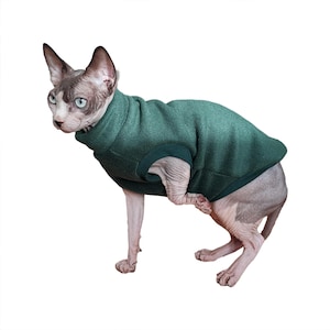 Pode incluir: Um gato sem pêlo vestindo um suéter de lã verde. O gato está em pé sobre um fundo branco.