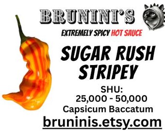 Peach Stripey Pepper Seeds, 12+