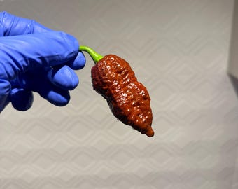 Big Caramel Mama Pepper Seeds, 10+
