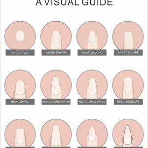 May include: A visual guide chart displaying twelve different nail shapes and lengths, including short, medium, and long variations of oval, coffin, ballerina, square, almond, and stiletto styles, each labeled with its corresponding name in black text.