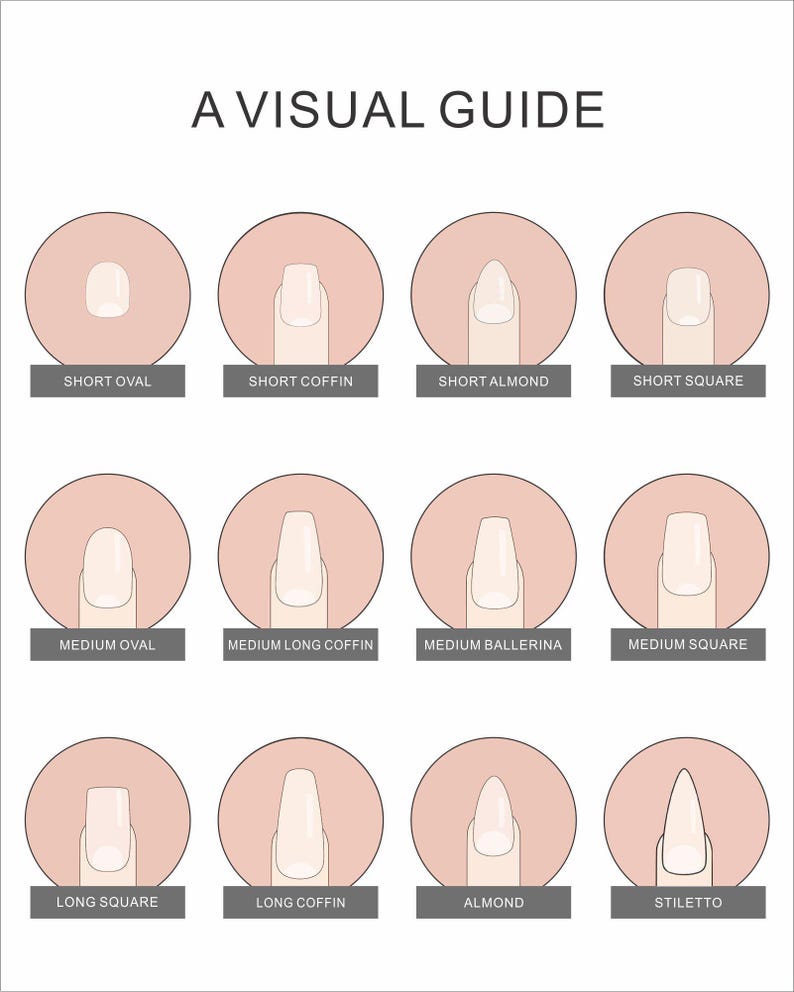 May include: A visual guide chart displaying twelve different nail shapes and lengths, including short, medium, and long variations of oval, coffin, ballerina, square, almond, and stiletto styles, each labeled with its corresponding name in black text.