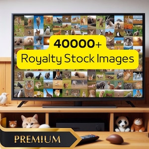 以下が含まれることがあります： 動物のロイヤリティフリーストック画像4000枚以上のコラージュが表示されたテレビ画面。画面は、猫とぬいぐるみパンダが前景にある木製の棚の上にあります。