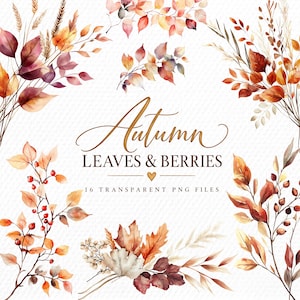Autumn Leaves Watercolor Clipart: Fall Foliage PNG (Commercial Use Digital Download)