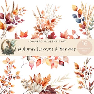 May include: Watercolor clipart set featuring autumn leaves and berries in shades of red, orange, and brown. The image includes a fairy illustration and text that reads "Autumn Leaves & Berries" and "Commercial Use Clipart".