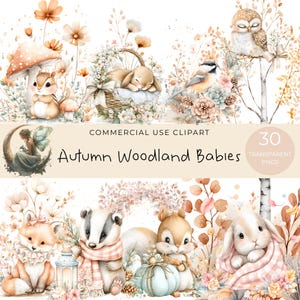 May include: A watercolour clipart set with woodland creatures and floral designs. Includes a sleeping rabbit in a basket, a squirrel, a fox, an owl, and a badger. The text "Autumn Woodland Babies" is displayed. The set includes 30 transparent PNGs.