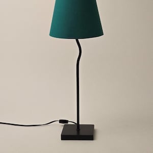 May include: A black table lamp with a curved stem and a teal fabric lampshade.