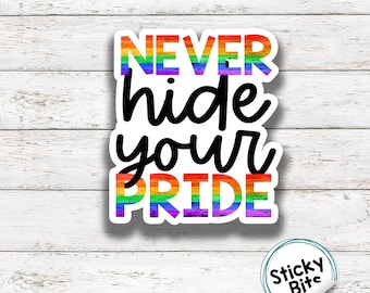 NEVER HIDE | LGBTQI | Funny sayings | Pride stickers  | laptop stickers | water bottle stickers | tongue in cheek | Pride