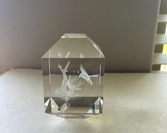 Pisapapeles de colibrí holográfico 3D de cristal transparente de alta calidad, grabado con láser y de alta calidad.