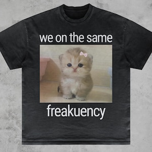 Wir sind auf dem gleichen Freakuency Cat Meme Shirt, Goofy Ahh Brainrot Weird Cotton Tee