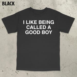Good Boy Shirt, Funny Meme Shirt, Stupid Shirt, Dumb Shirt, Brain Rot Shirt, Embarrassing Shirt, Funny saying shirt, Bold Statement Shirt