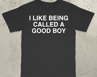 Good Boy Shirt, Funny Meme Shirt, Stupid Shirt, Dumb Shirt, Brain Rot Shirt, Embarrassing Shirt, Funny saying shirt, Bold Statement Shirt