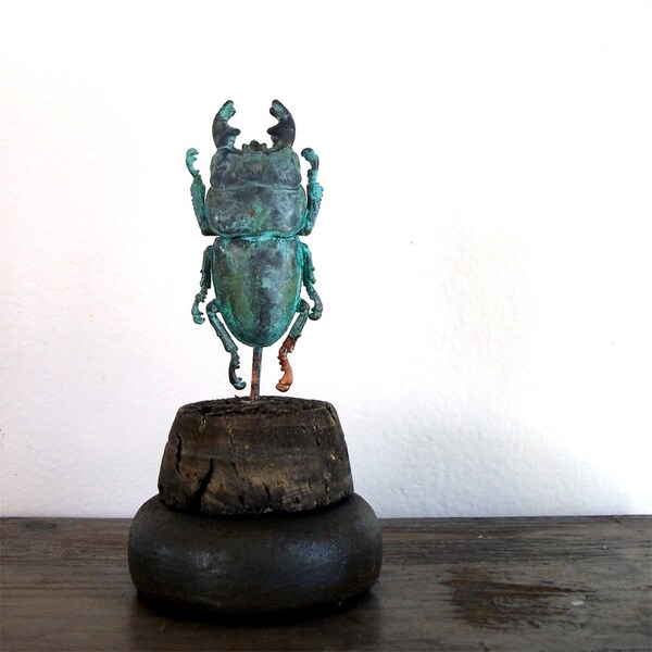 Real Insect Beetle Taxidermy Copper Patina Science Art Specimen Unique Gift