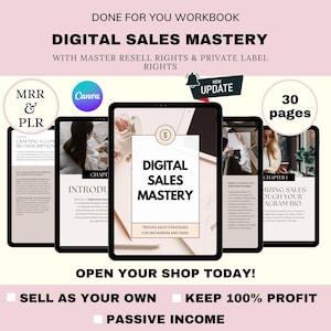 PLR Digital Marketing eBook | Canva Template with Resell Rights | Instagram, Email & Sales Funnel Strategies | Editable Online Biz Guide