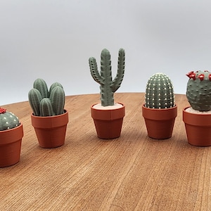 Cactus Clickers Fidgets: Satisfying Sensory Toys for Stress Relief and Focus