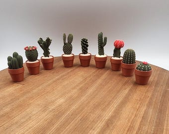 Cactus Clickers Fidgets: Satisfying Sensory Toys for Stress Relief and Focus