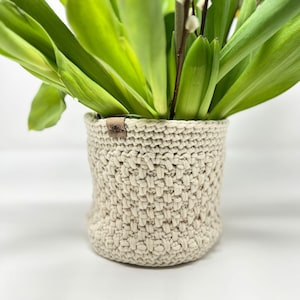 May include: A white crocheted plant pot with a brown label. The pot is filled with green plants.