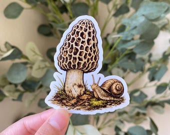 Pegatina de caracol con seta morilla, calcomanía vintage de bosque botánico, pegatina natural para portátil