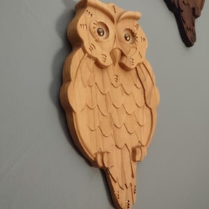 Owl Wall Art
