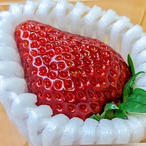 Puede incluir: Una fresa roja brillante con una superficie brillante y lustrosa y un tallo verde frondoso. La fresa está anidada en un recipiente de poliestireno blanco.