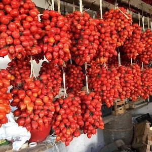 50 Semillas de Tomate PIENNOLO DEL VESUVIO Cultivadas y Producidas en Italia - Producto Orgánico