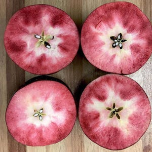 Apple Malus Domestica cult. Red love apple 10 semi freschi
