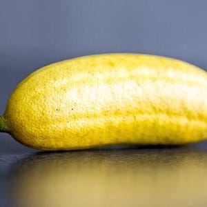 10 nasion Citrus Limon 'YELLOW FINGER LIME' australijskie - świeże nasiona kawioru cytrynowego