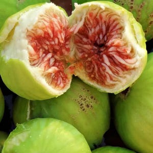Peut inclure: Gros plan sur un groupe de figues vertes, certaines coupées pour révéler leur chair rouge et blanche. Les figues sont disposées dans un bol ou un panier.