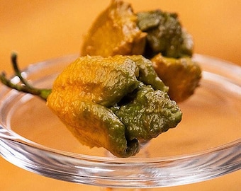 10 Sementes de Pimenta X NÃO OFICIALMENTE A PIMENTA MAIS PICANTE DO MUNDO 3.180.00 "Sementes Orgânicas Frescas"