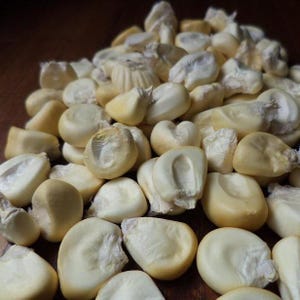 May include: A close-up view of a pile of dried, pale yellow corn kernels.