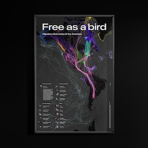 May include: A framed poster on a dark background shows a map of the Americas. The title "Free as a bird" is in white. The poster displays colourful lines that trace migratory bird routes across the continents, with text and illustrations.