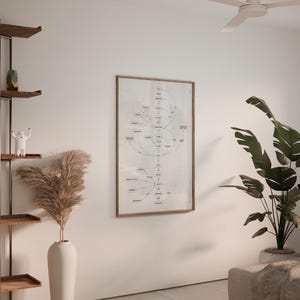 Puede incluir: Un sal&oacute;n moderno con un diagrama enmarcado en la pared, una estanter&iacute;a con decoraci&oacute;n y libros, una gran planta en maceta y un jarr&oacute;n blanco con hierba de la pampa. La habitaci&oacute;n tiene una paleta de colores neutros.