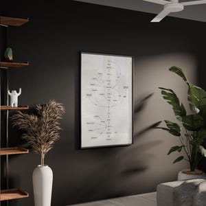 Puede incluir: Un diagrama enmarcado con un borde negro cuelga de una pared oscura. El diagrama es una red compleja de c&iacute;rculos y l&iacute;neas. Un jarr&oacute;n blanco alto contiene plantas secas. Una estanter&iacute;a de madera con libros y decoraci&oacute;n est&aacute; a la izquierda.