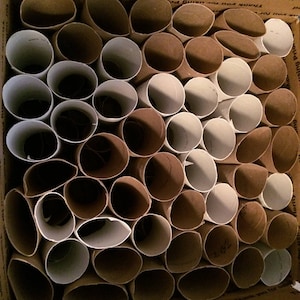 Más de 100+ reciclado de cartón limpio para inodoro TUBES ROLLS -Start Seeds, scrapbooking de manualidades