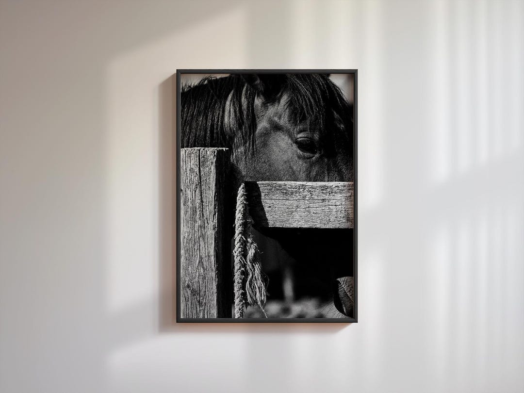 Horse Art Print, Retro Black and White Photography Poster, Vintage ...