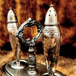 Zestaw do soli i pieprzu w kolorze srebra w stylu vintage: ozdobny metalowy pojemnik