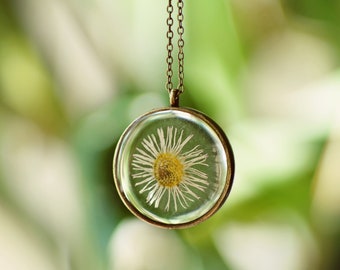 Preserved English Daisy Pressed Botanical Necklace